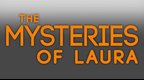 193995 The Mysteries of Laura S01E07 480p HDTV x264 mSD